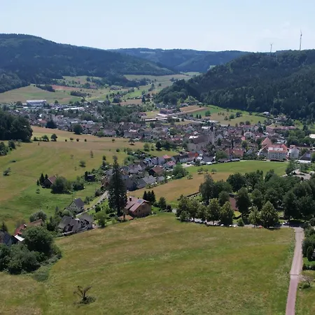 Schwarzwaldblick * ゼールバッハ