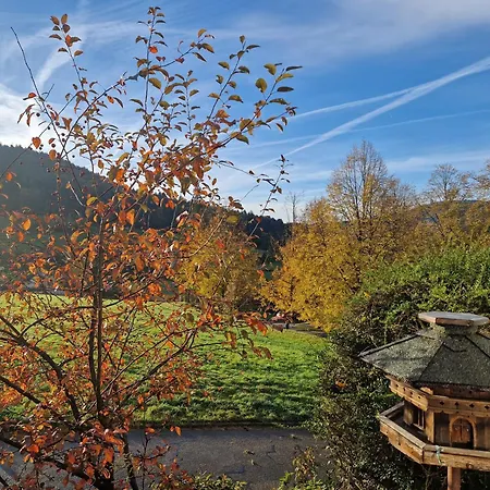 Schwarzwaldblick *