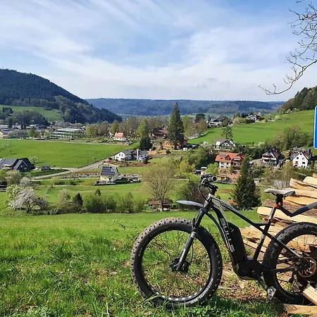Schwarzwaldblick Apartamento Seelbach (Baden-Wurttemberg)