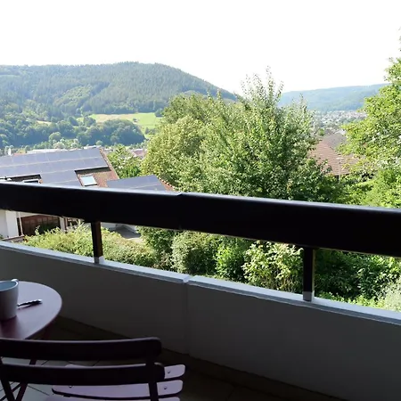 Schwarzwaldblick Appartement Seelbach (Baden-Wurttemberg)