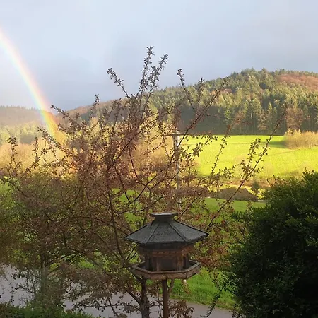 Apartamento Schwarzwaldblick Seelbach (Baden-Wurttemberg)